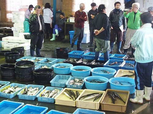 雨降れば巨魚スズキの港 浜名湖雄踏港市場 舞阪コーナー 浜松市中区相生町のスーパー Bi An Can ビアンカン